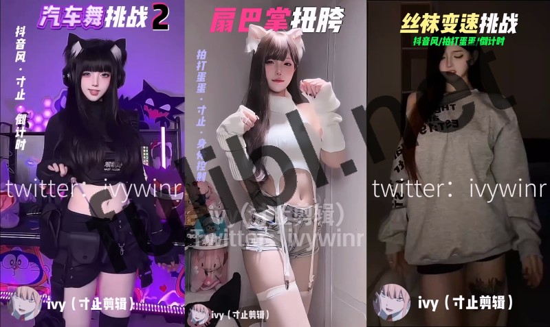 脑洞大佬@ivywinr 抖音风混剪合集 第二弹[26V/13.6G]